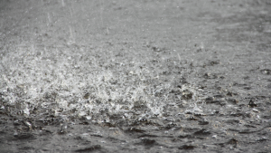 residential roof repair